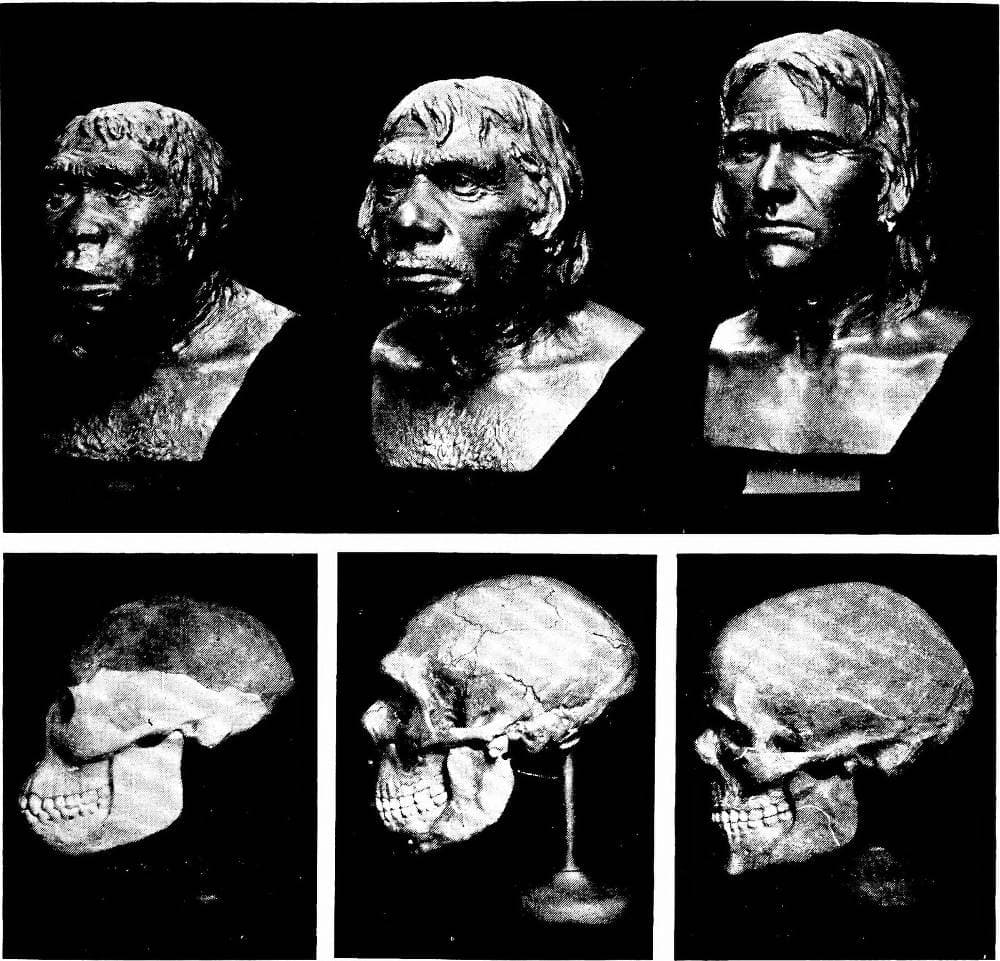 Big Data in the Age of Biology