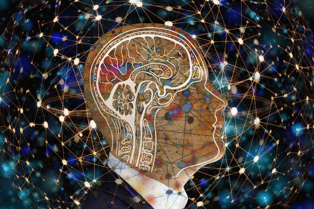 WFH Daily #175: A multidisciplinary approach to thinking