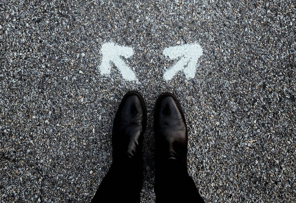 FF Insights #694: The Freaky Friday management technique