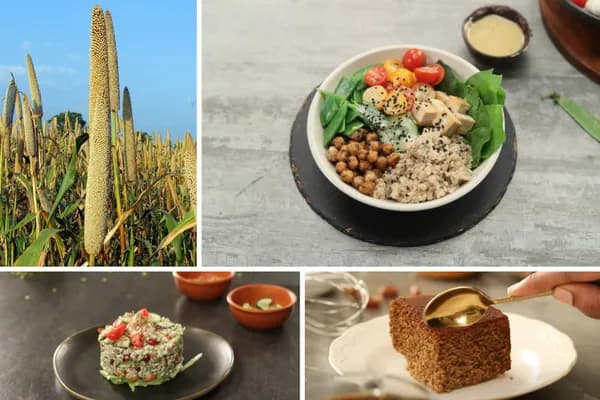 FF Life: The golden seed