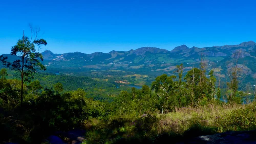 FF Daily #269: FF Recommends | A relaxed getaway