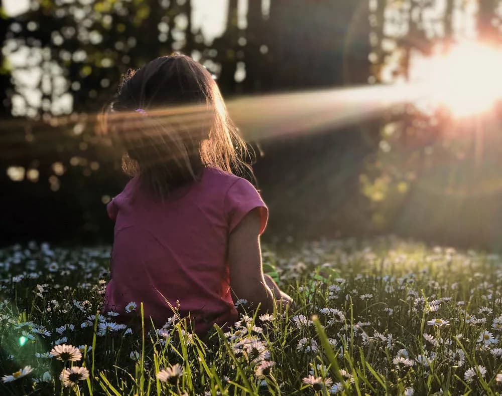 FF Insights #559: You have to make choices