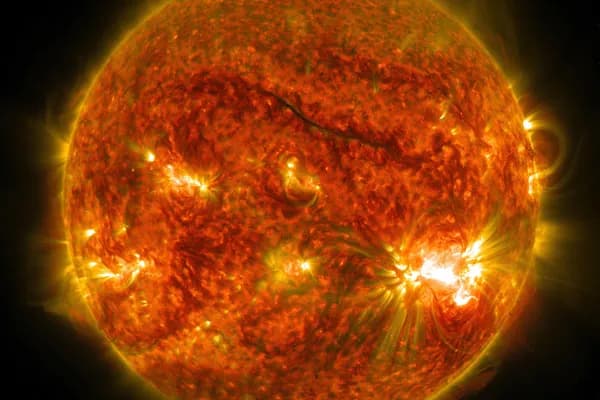 Day of the starmakers