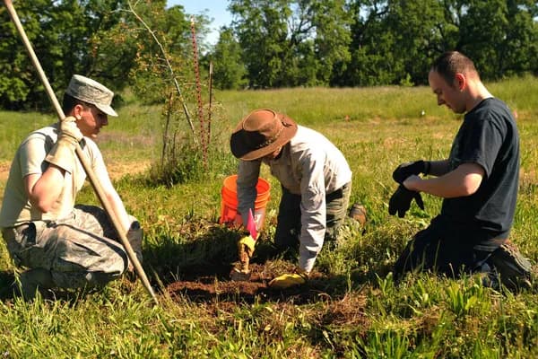 How a startup grows up to be an enterprise