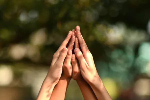 FF Insights #705: Wisdom