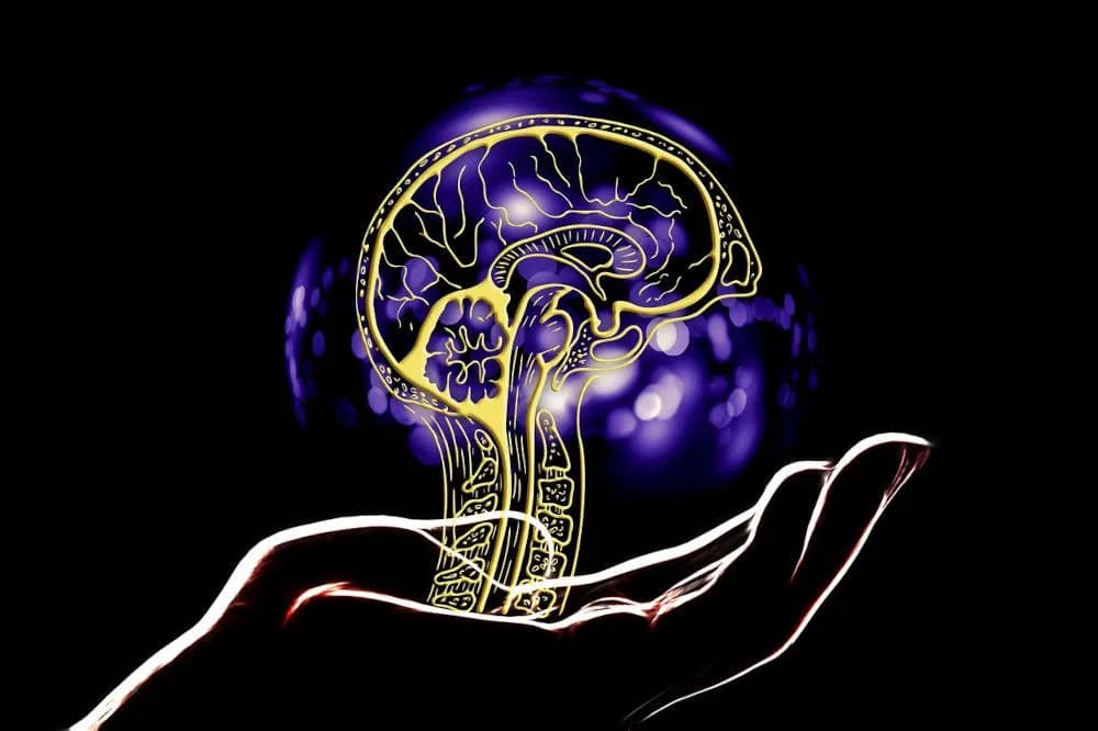 FF Life: Getting AI tools to work for you