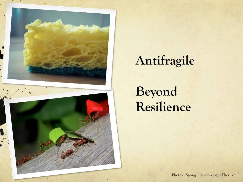 The absence of fragility