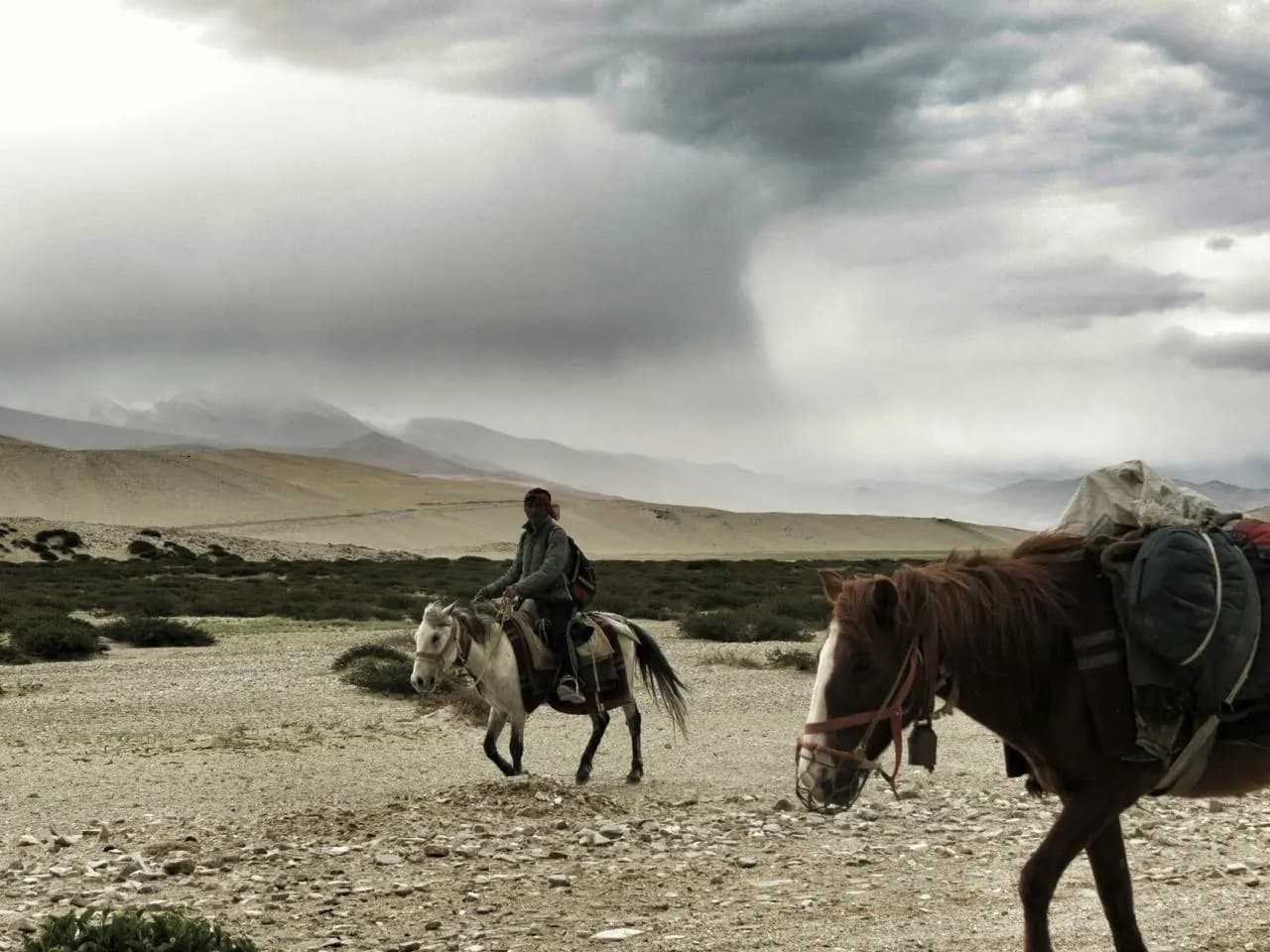 Where the Land Is Home