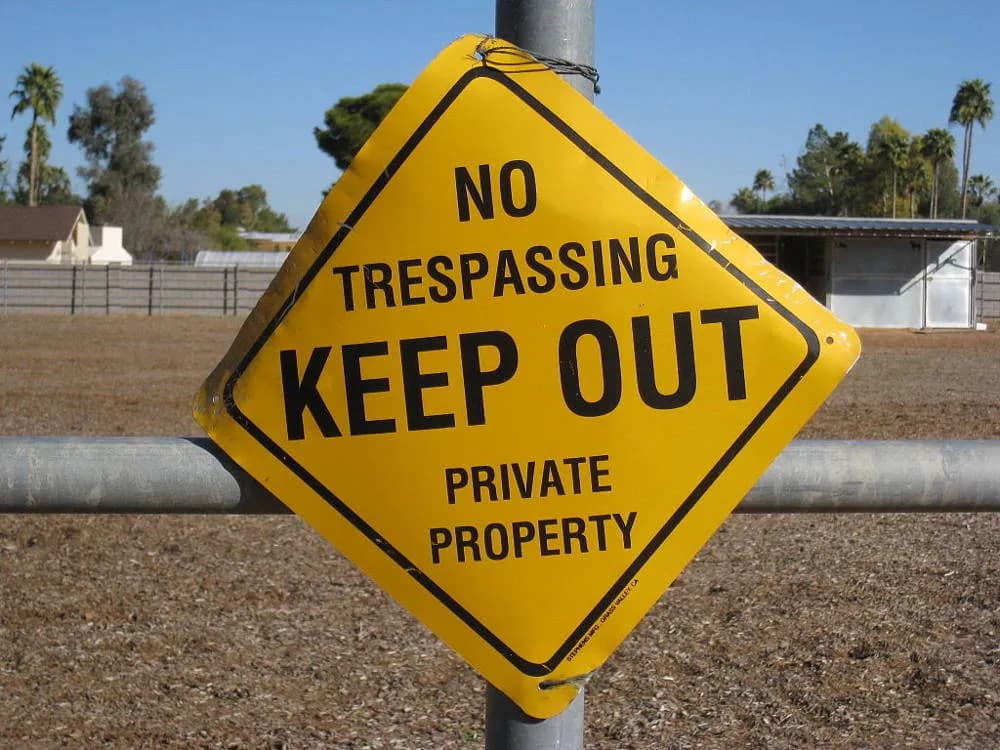 Is it a yes or a no? The curious case of Section 57