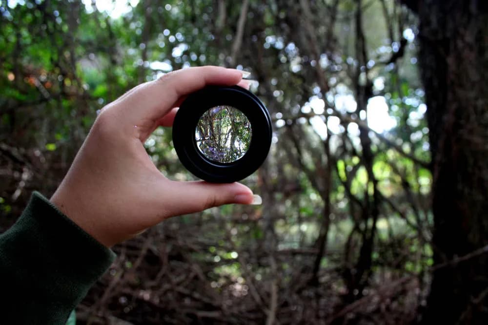 A new lens on leadership