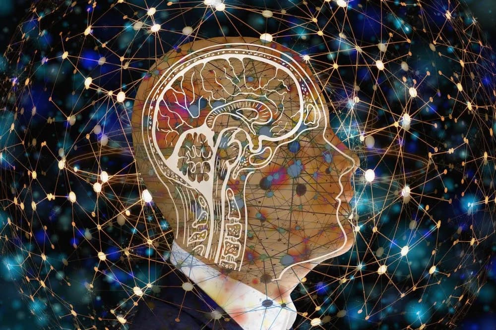 WFH Daily #175: A multidisciplinary approach to thinking